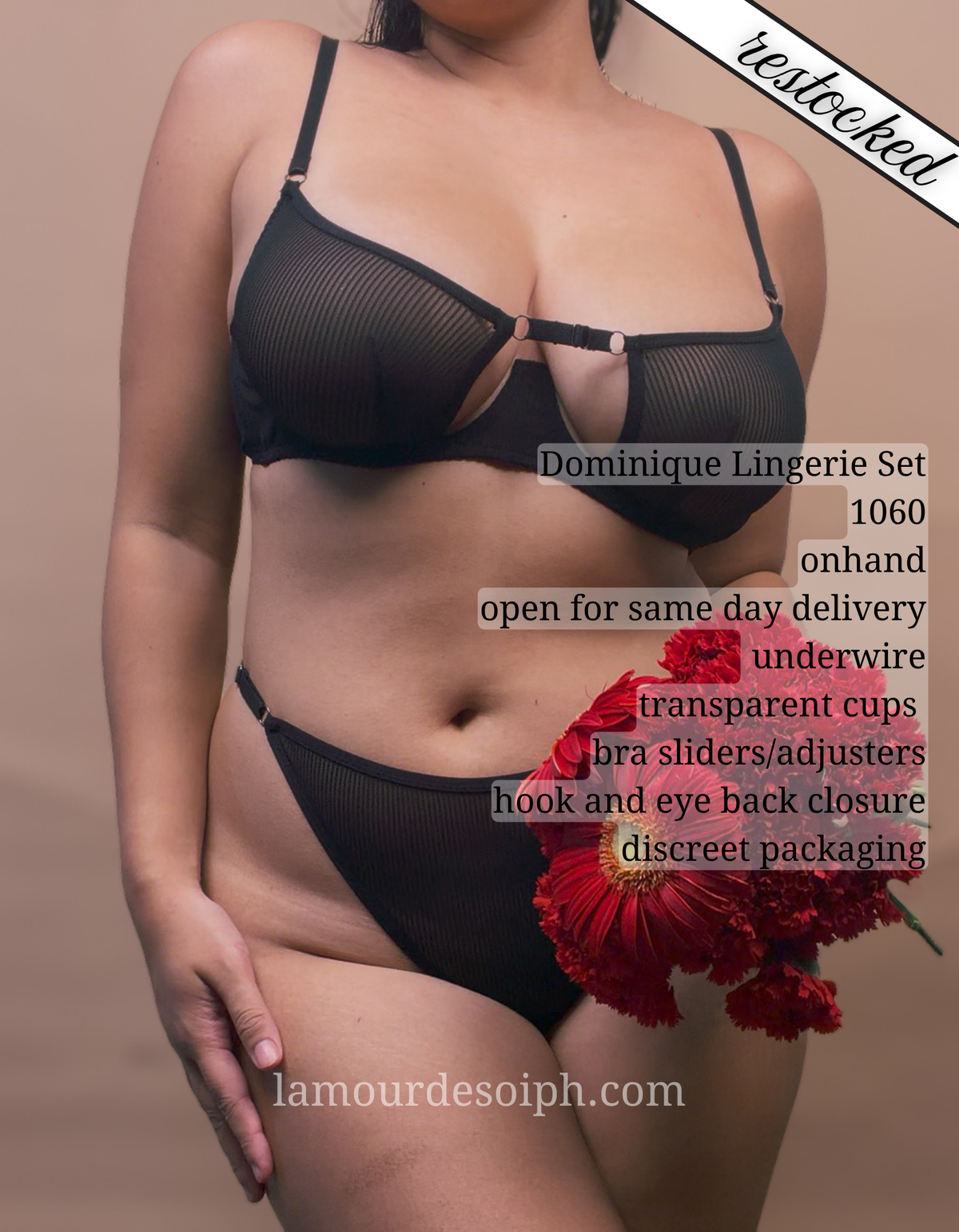 (S-2XL) Dominique Lingerie Set