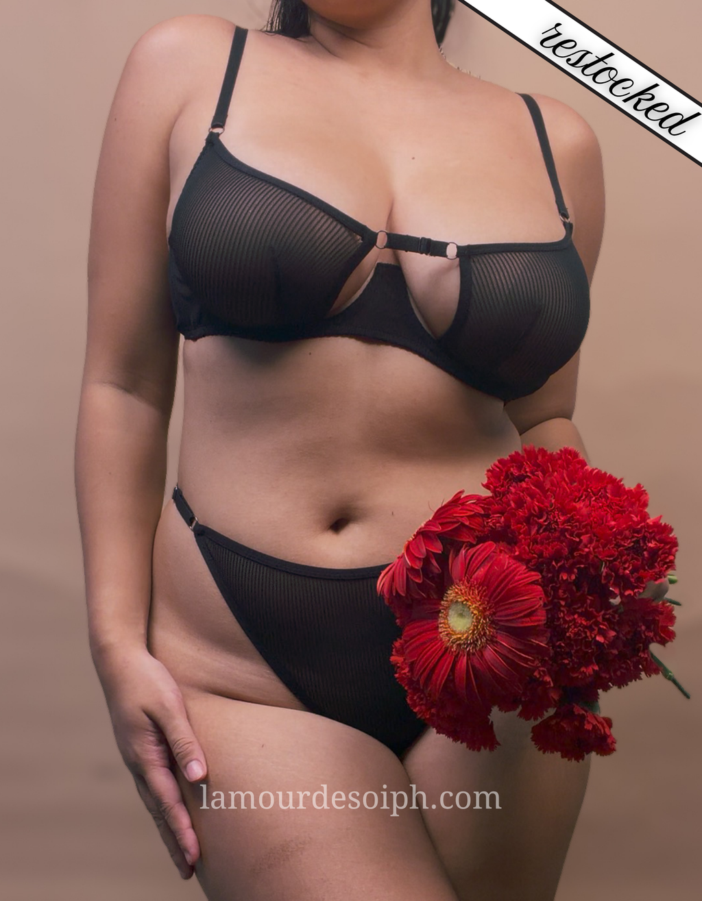 (S-2XL) Dominique Lingerie Set