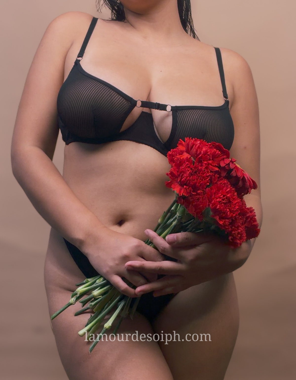 (S-2XL) Dominique Lingerie Set