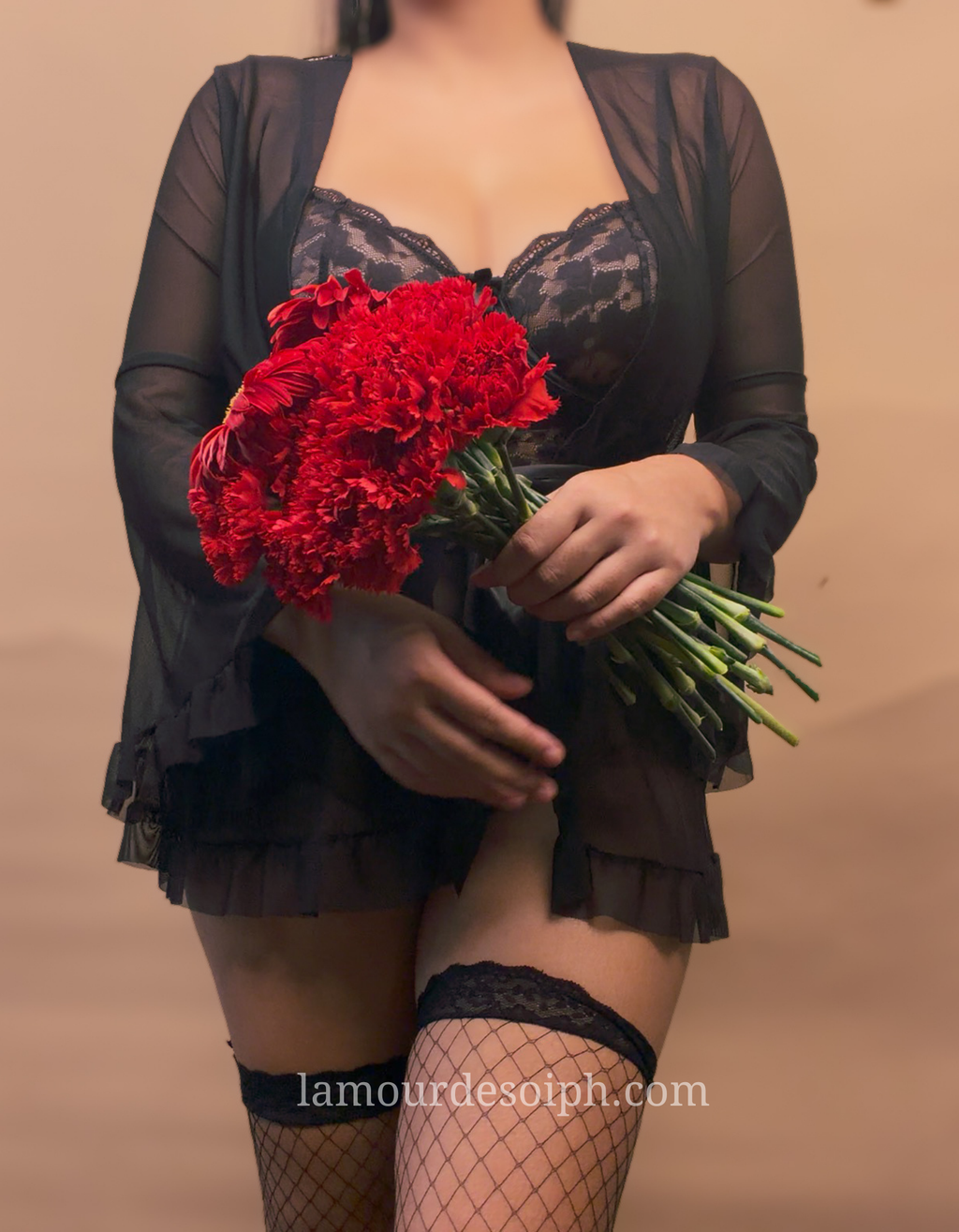 Valentina Bodysuit Robe Set w/fishnet thigh high stockings