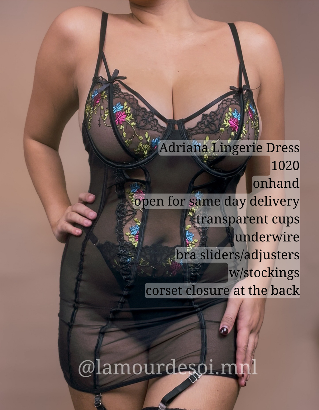 Adriana Lingerie Dress w/stockings