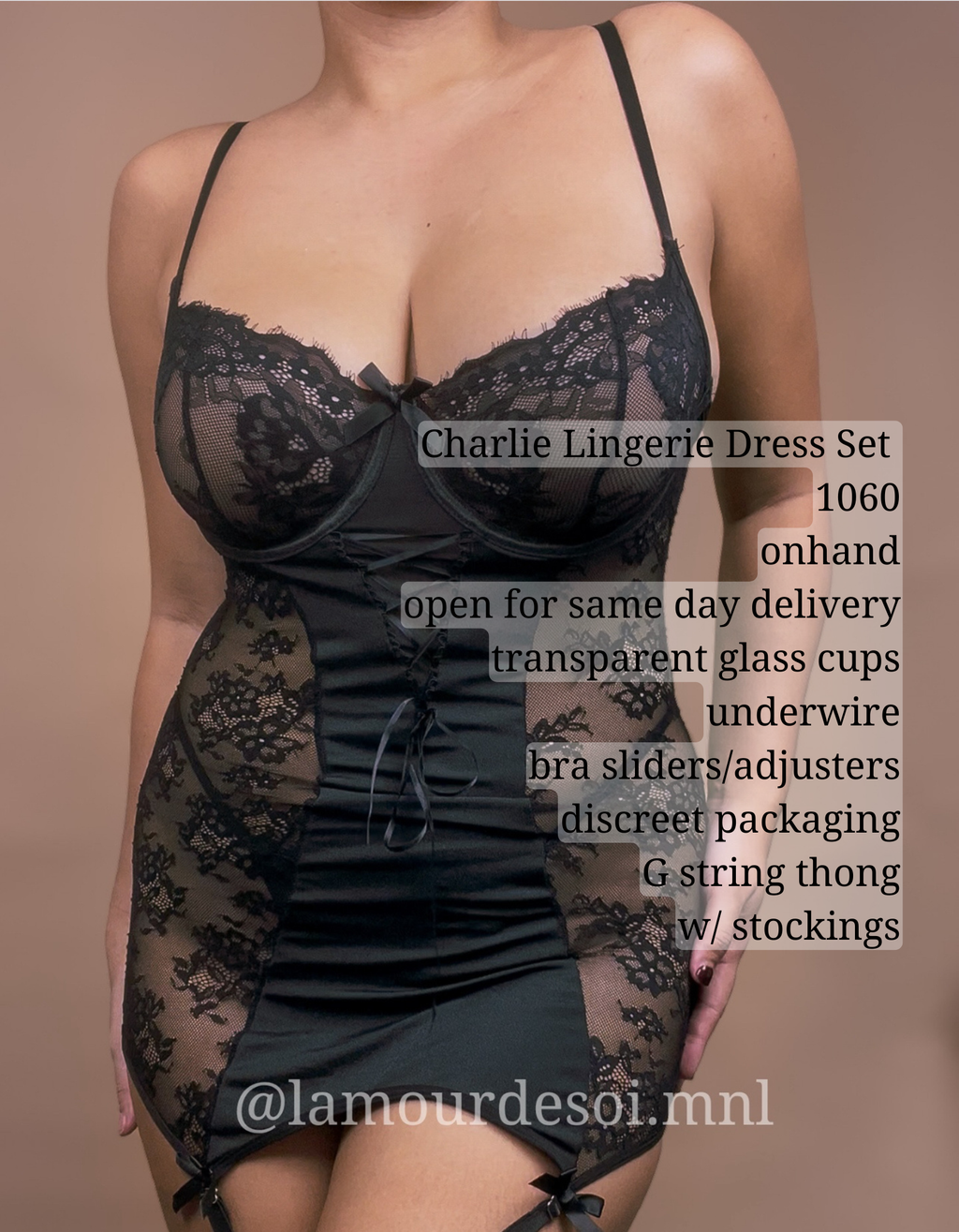Charlie Lingerie Dress w/stockings