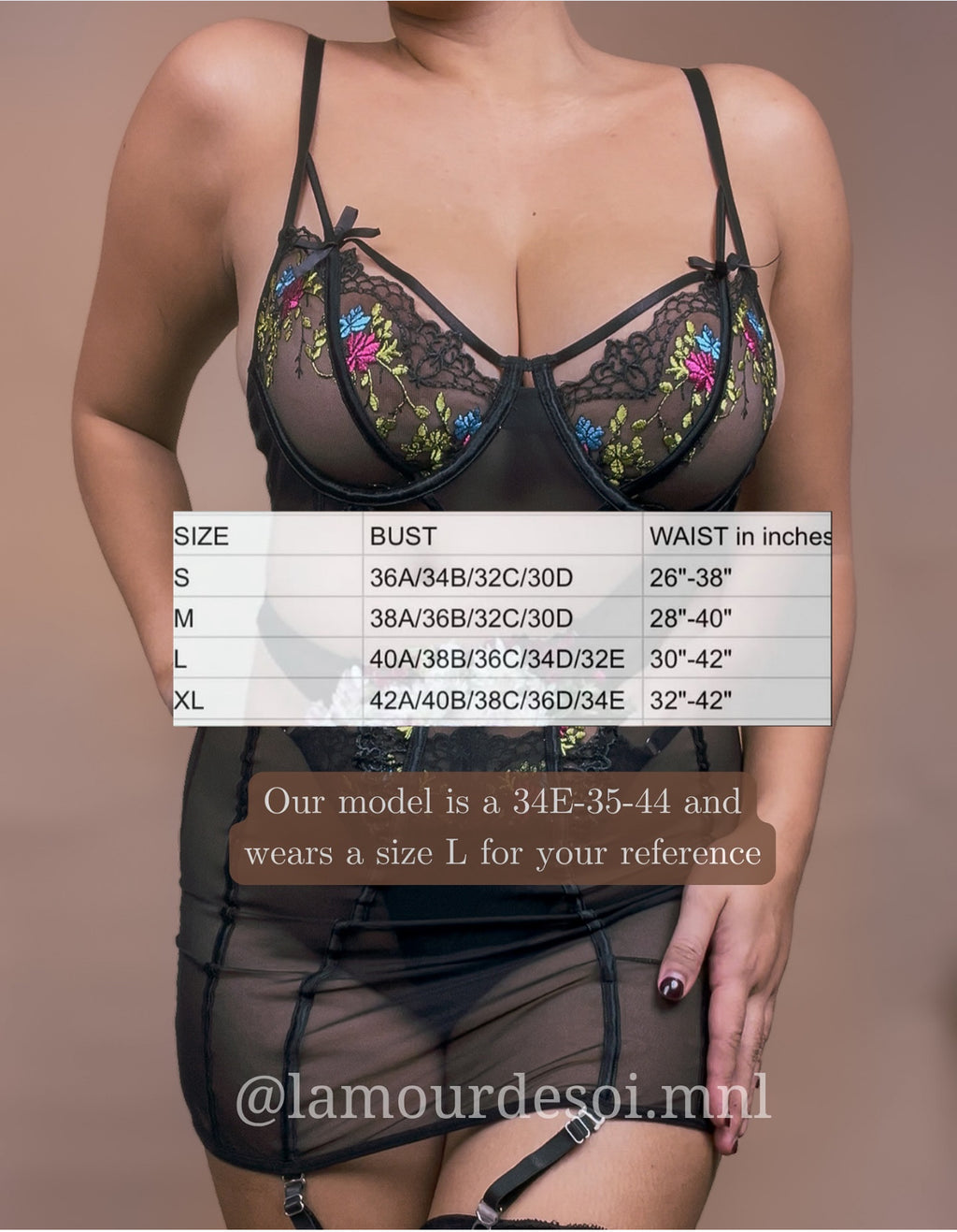 Adriana Lingerie Dress w/stockings